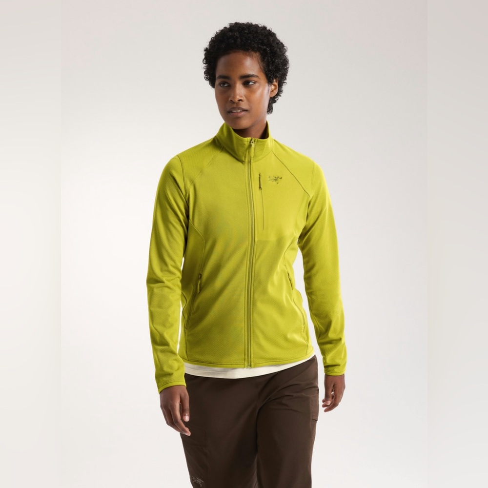 Arcteryx delta jacket